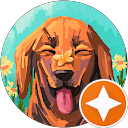 H C profile picture