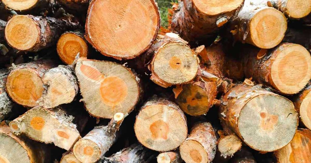tree-removal-specialist-fort-mill-sc